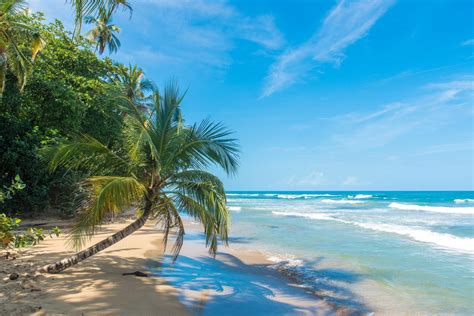 playa chiquita costa rica|Chiquita Beach In Costa Rica